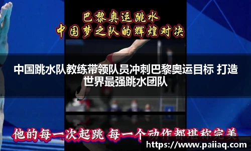 佰富彩公司