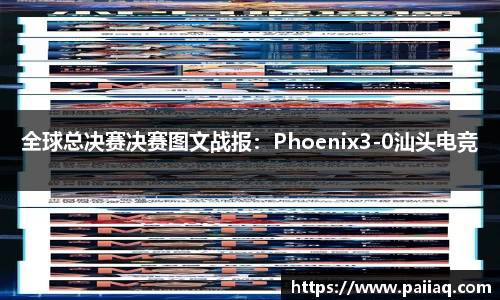 佰富彩公司